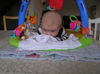 P2190065.JPG - 2007:02:19 11:39:54