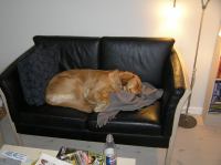 P2240068.JPG - 2007:02:24 19:46:53