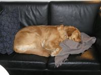 P2240069.JPG - 2007:02:24 19:46:58