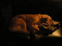 P2240073.JPG - 2007:02:24 19:47:24