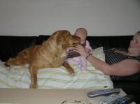 P3030036.JPG - 2007:03:03 17:05:32