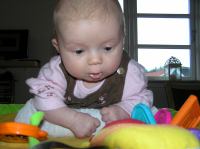 P3030045.JPG - 2007:03:03 17:58:17