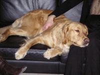 P1010041.JPG - 0000:00:00 00:00:00