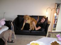 P1010042.JPG - 0000:00:00 00:00:00