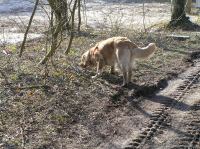 P3130010.JPG - 2007:03:13 15:26:14