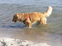 P3130018.JPG - 2007:03:13 15:39:55