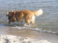 P3130019.JPG - 2007:03:13 15:39:56