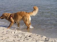 P3130020.JPG - 2007:03:13 15:40:00