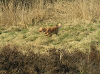 P3130021.JPG - 2007:03:13 15:52:37