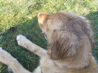 P3130024.JPG - 2007:03:13 16:03:06