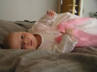 P3140106.JPG - 2007:03:14 13:48:42