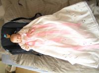 P3140122.JPG - 2007:03:14 13:51:36