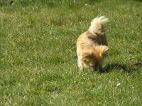 P4060047.JPG - 2007:04:06 11:40:39