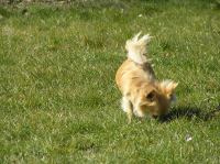 P4060048.JPG - 2007:04:06 11:40:40