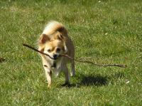 P4060049.JPG - 2007:04:06 11:40:48