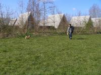 P4060050.JPG - 2007:04:06 11:40:59