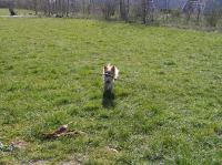 P4060051.JPG - 2007:04:06 11:41:05