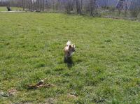 P4060052.JPG - 2007:04:06 11:41:06