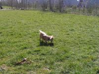 P4060053.JPG - 2007:04:06 11:41:06