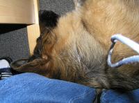 P4060070.JPG - 2007:04:06 12:59:03