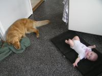 P5260278.JPG - 2007:05:26 12:08:43