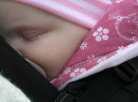 P5270306.JPG - 2007:05:27 15:57:09