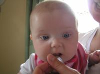 P5300349.JPG - 2007:05:30 14:17:01