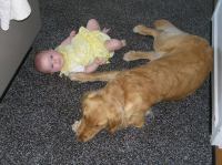 P6070393.JPG - 2007:06:07 11:59:47