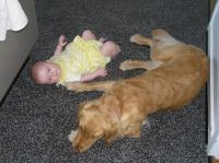 P6070394.JPG - 2007:06:07 11:59:52