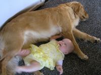 P6070398.JPG - 2007:06:07 12:00:32