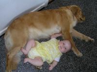 P6070399.JPG - 2007:06:07 12:00:41