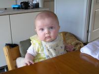 P6070400.JPG - 2007:06:07 12:04:43