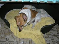 P6180035.JPG - 2007:06:18 22:02:35