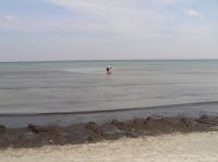 P6240012.JPG - 2007:06:24 13:20:45