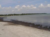 P6240013.JPG - 2007:06:24 13:20:54