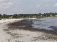 P6240016.JPG - 2007:06:24 13:21:14