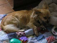 P6270042.JPG - 2007:06:27 17:22:12