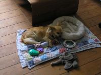 P6270043.JPG - 2007:06:27 17:22:19