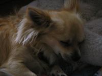 P6270044.JPG - 2007:06:27 17:22:39