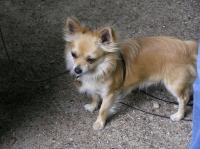 P6290081.JPG - 2007:06:29 14:37:10