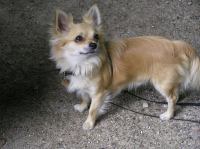 P6290082.JPG - 2007:06:29 14:37:11