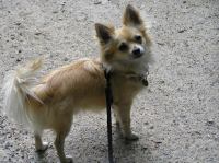 P6290083.JPG - 2007:06:29 14:37:21