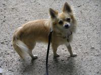 P6290084.JPG - 2007:06:29 14:37:25