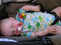 P8170031.JPG - 2007:08:17 10:27:05