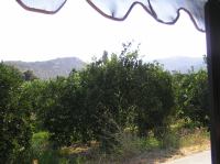 P8200174.JPG - 2007:08:20 09:14:40