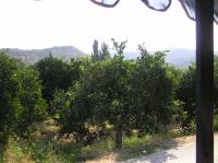 P8200175.JPG - 2007:08:20 09:14:41