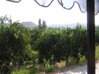 P8200176.JPG - 2007:08:20 09:14:42