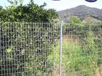 P8200182.JPG - 2007:08:20 09:27:31