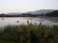 P8200185.JPG - 2007:08:20 09:36:46