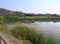 P8200186.JPG - 2007:08:20 09:36:57